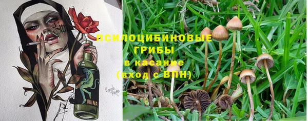 молекула духа Беломорск