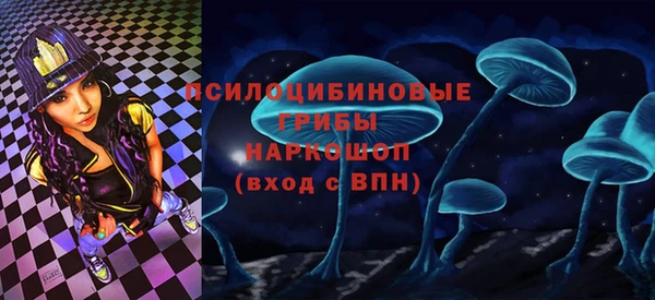 первитин Белокуриха