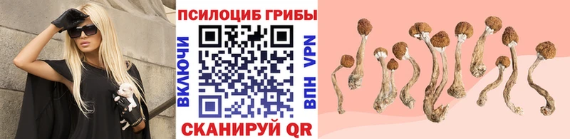 Купить закладки  Новошахтинск  Псилоцибиновые грибы MAGIC MUSHROOMS 